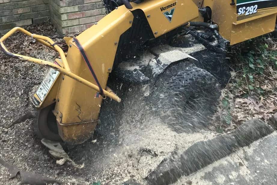 Tree removal project completed in Dallas Fort Worth