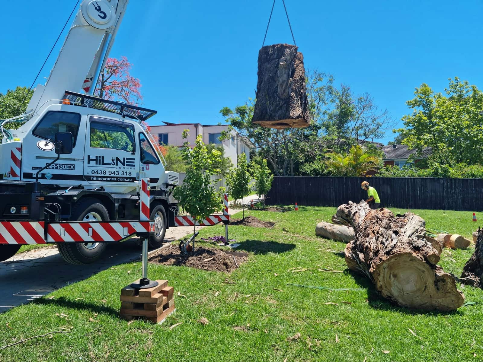 Tree pruning Dallas
